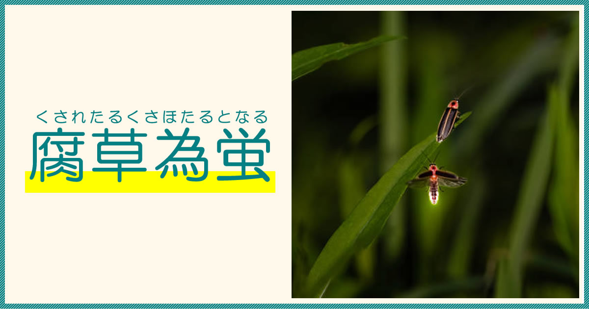 腐草為蛍（くされたるくさほたるとなる）